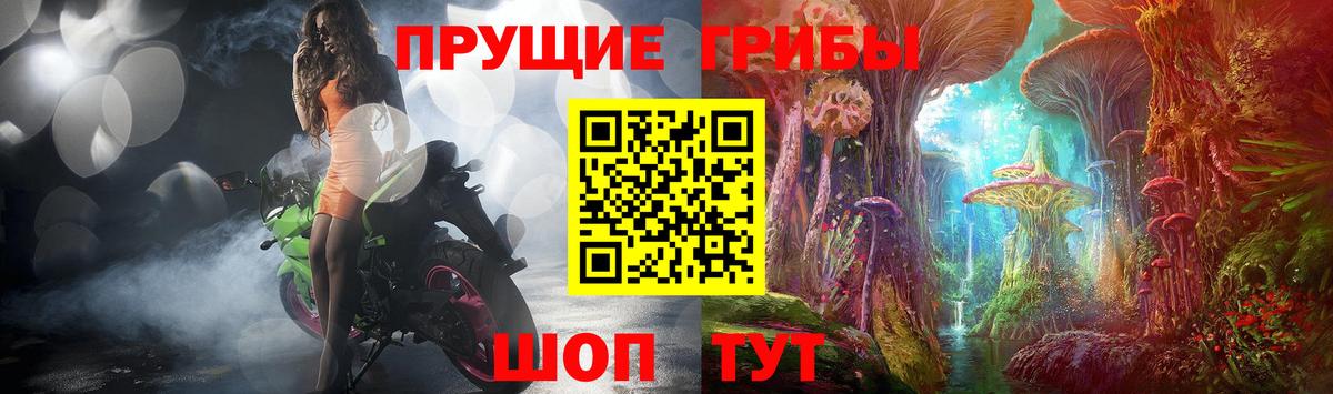 Псилоцибиновые грибы Cubensis Ростов Великий